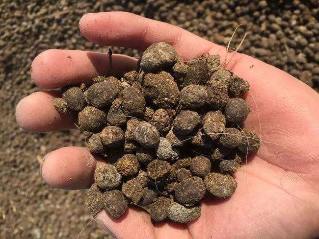 顆粒生產(chǎn)線成品質(zhì)量控制：強(qiáng)度、圓整度、含水量